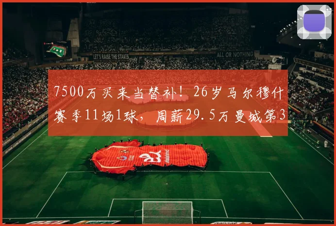 7500万买来当替补！26岁马尔穆什赛季11场1球，周薪29.5万曼城第3