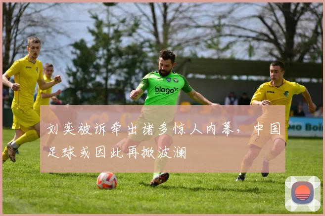 刘奕被诉牵出诸多惊人内幕，中国足球或因此再掀波澜