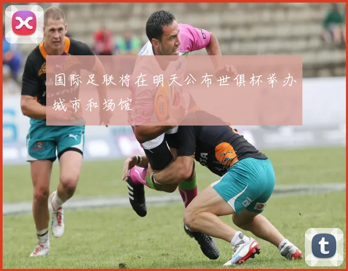 国际足联将在明天公布世俱杯举办城市和场馆