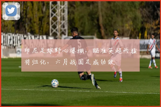 印尼足球野心爆棚，瞄准英超两猛将归化，六月战国足成劲敌